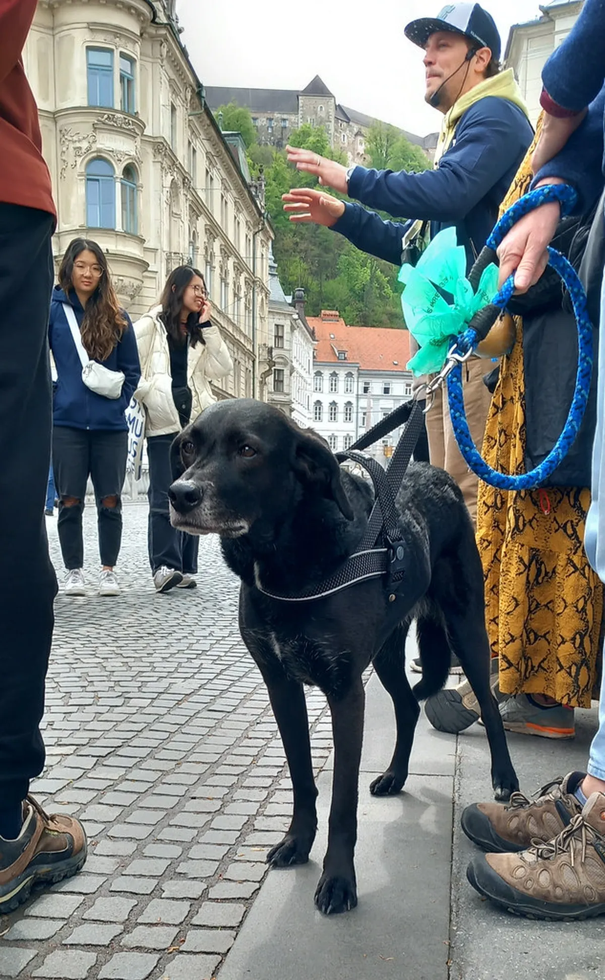 Ljubljana Free Walking Tour: Worth It in 2026?