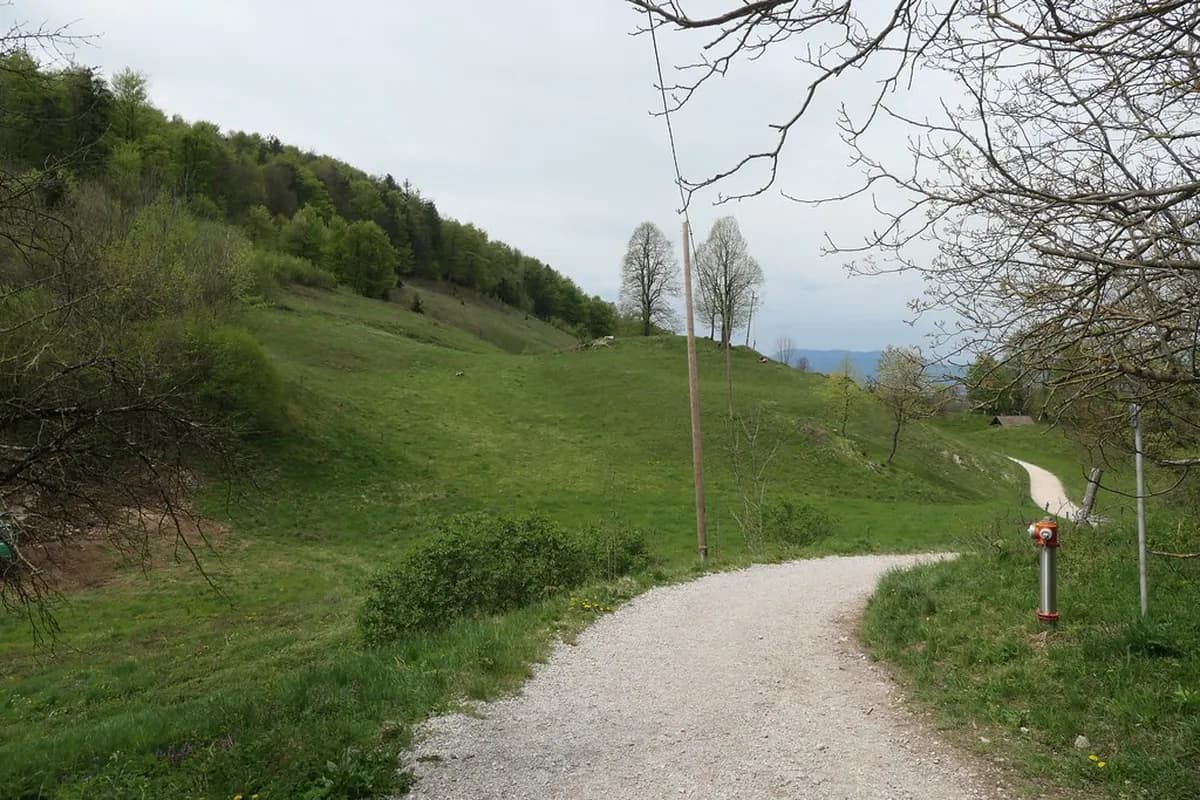 Ljubljana Hiking Tours: Worth It? (2026 Guide)