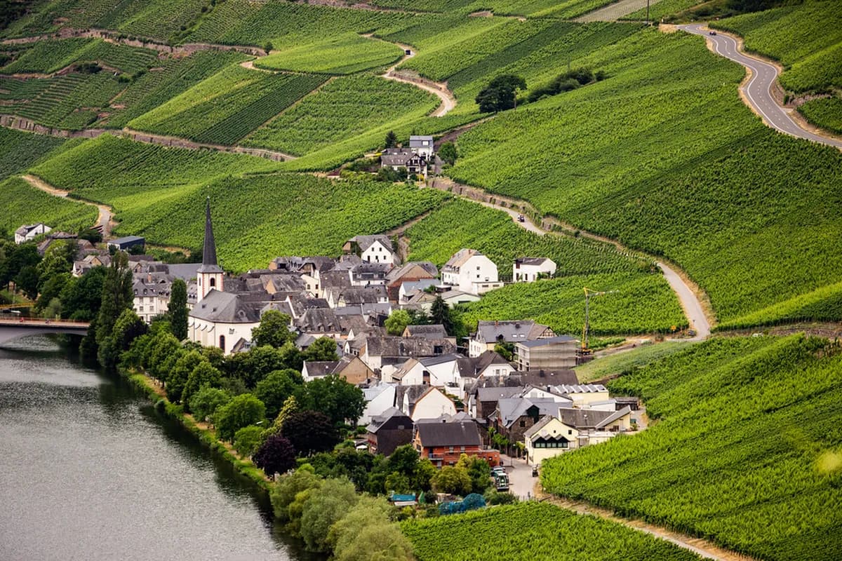 Porto Wine Country Cycling Tour: Worth It?