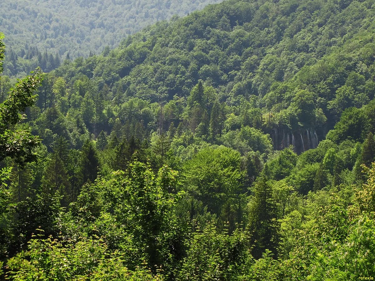 Split to Plitvice Day Trip: Worth It in 2026?