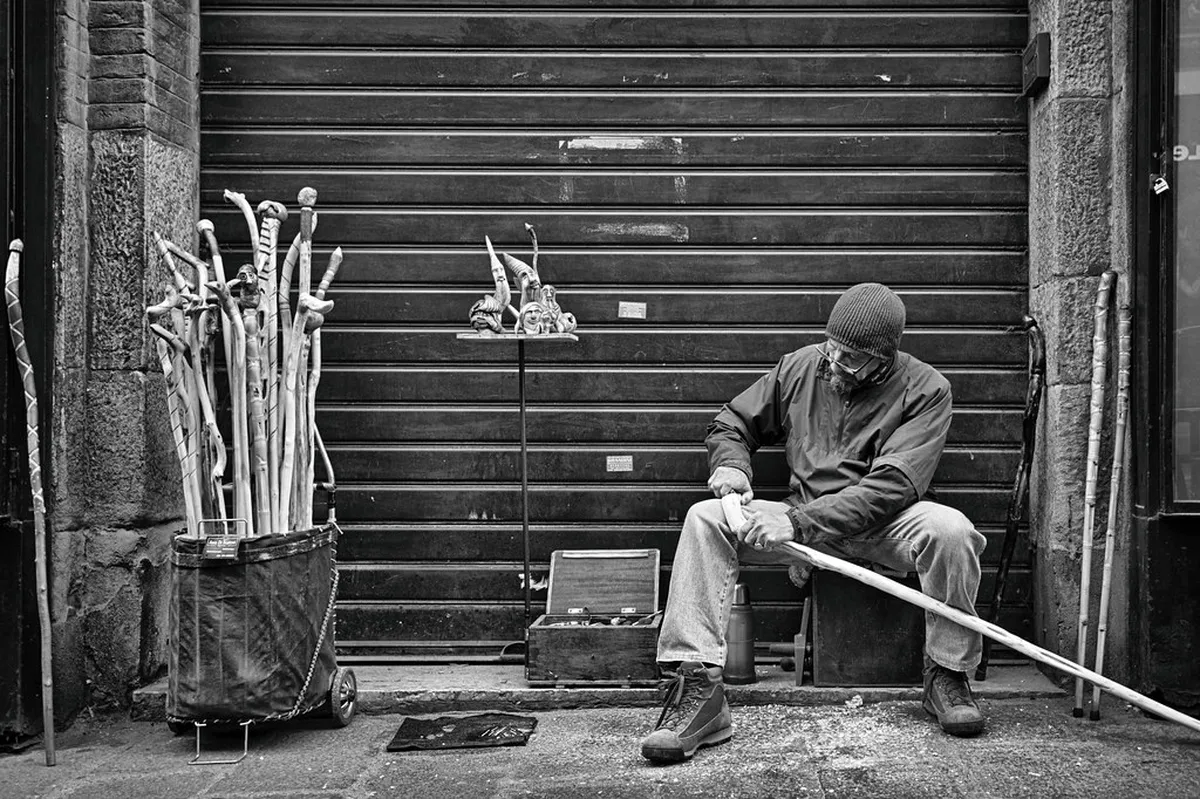 Are Bologna Walking Tours Worth It? — a scene in Bologna