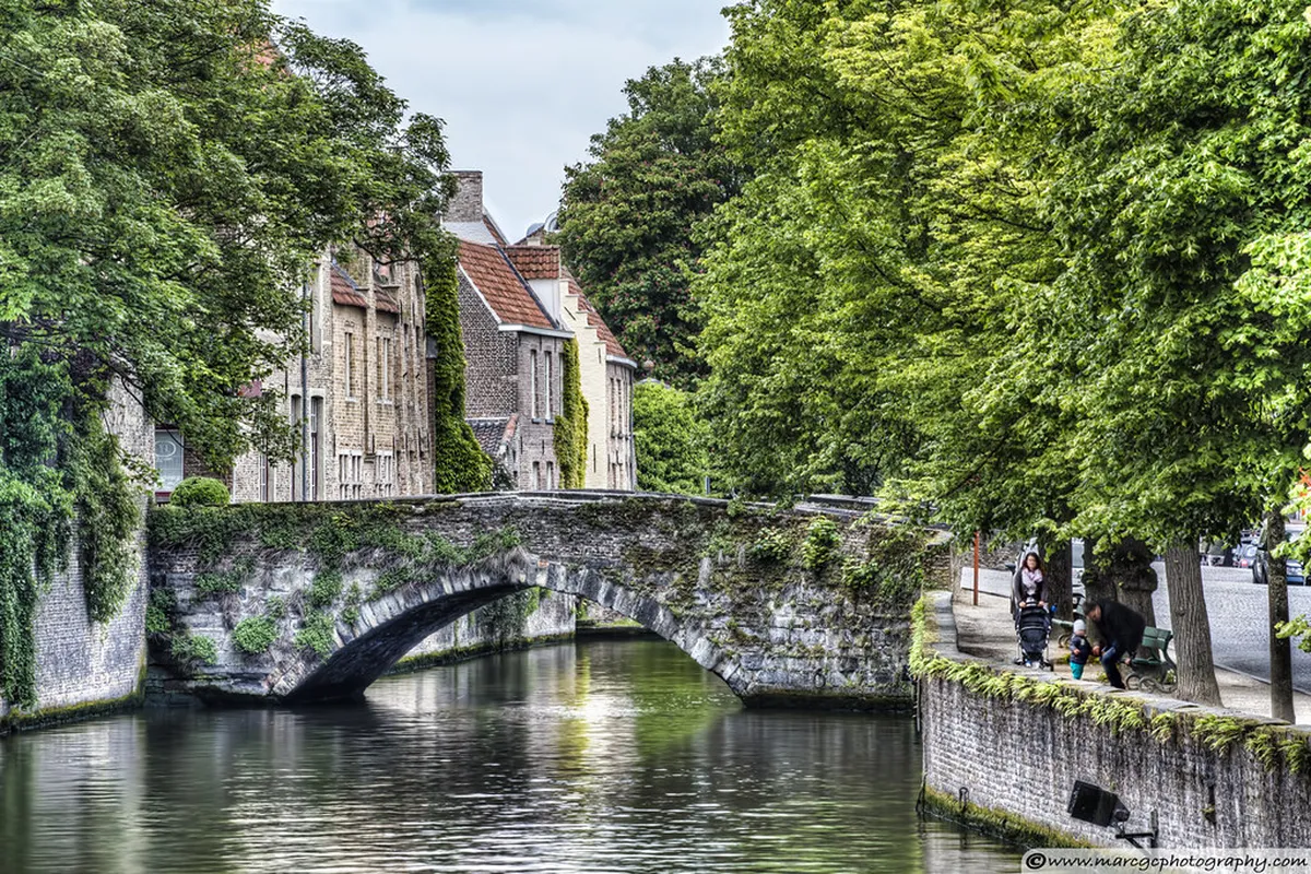 Horse-Riding Excursions Near Bruges — a scene in Bruges