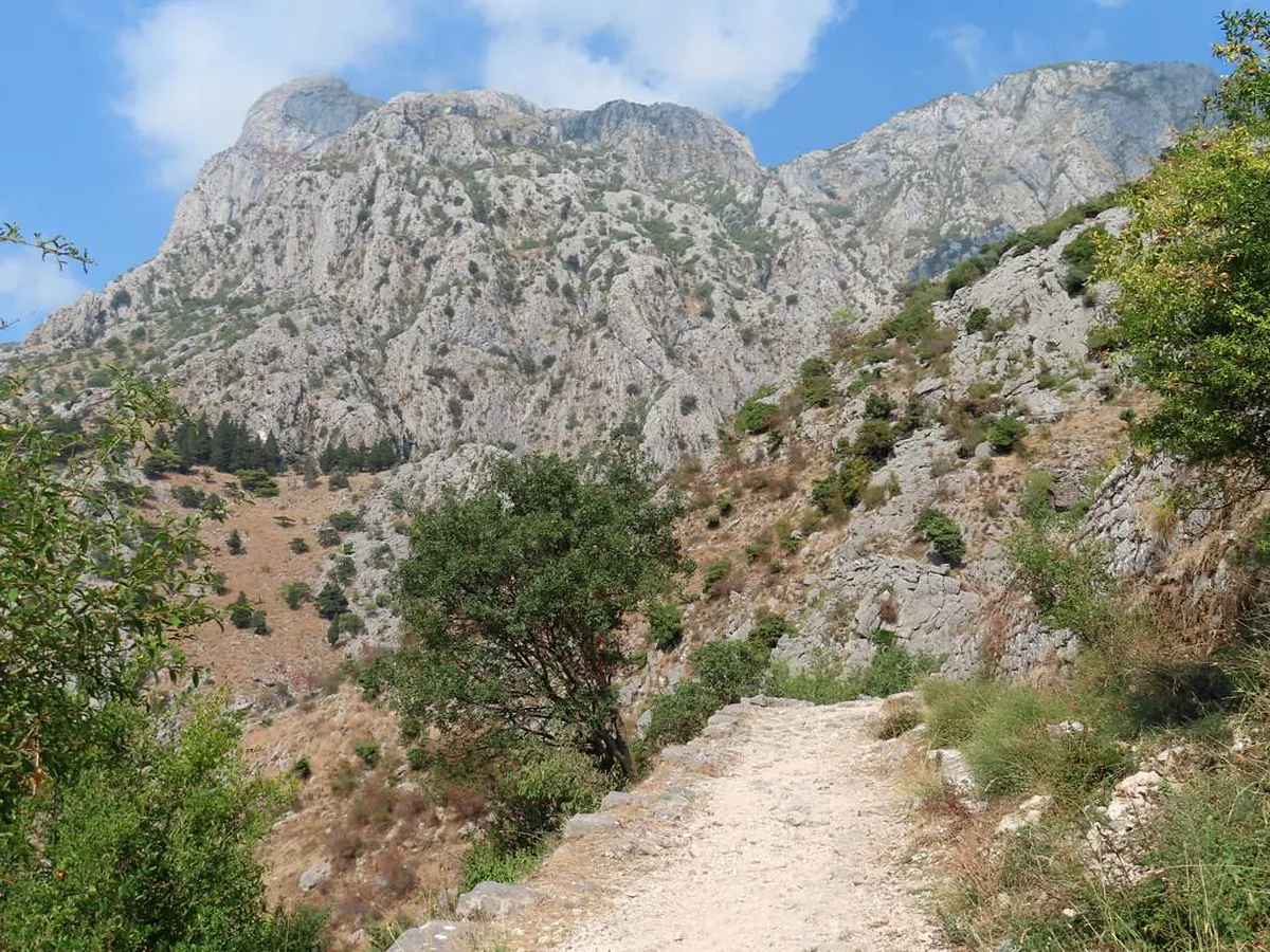 How to Choose the Right Kotor Adventure — a scene in Kotor