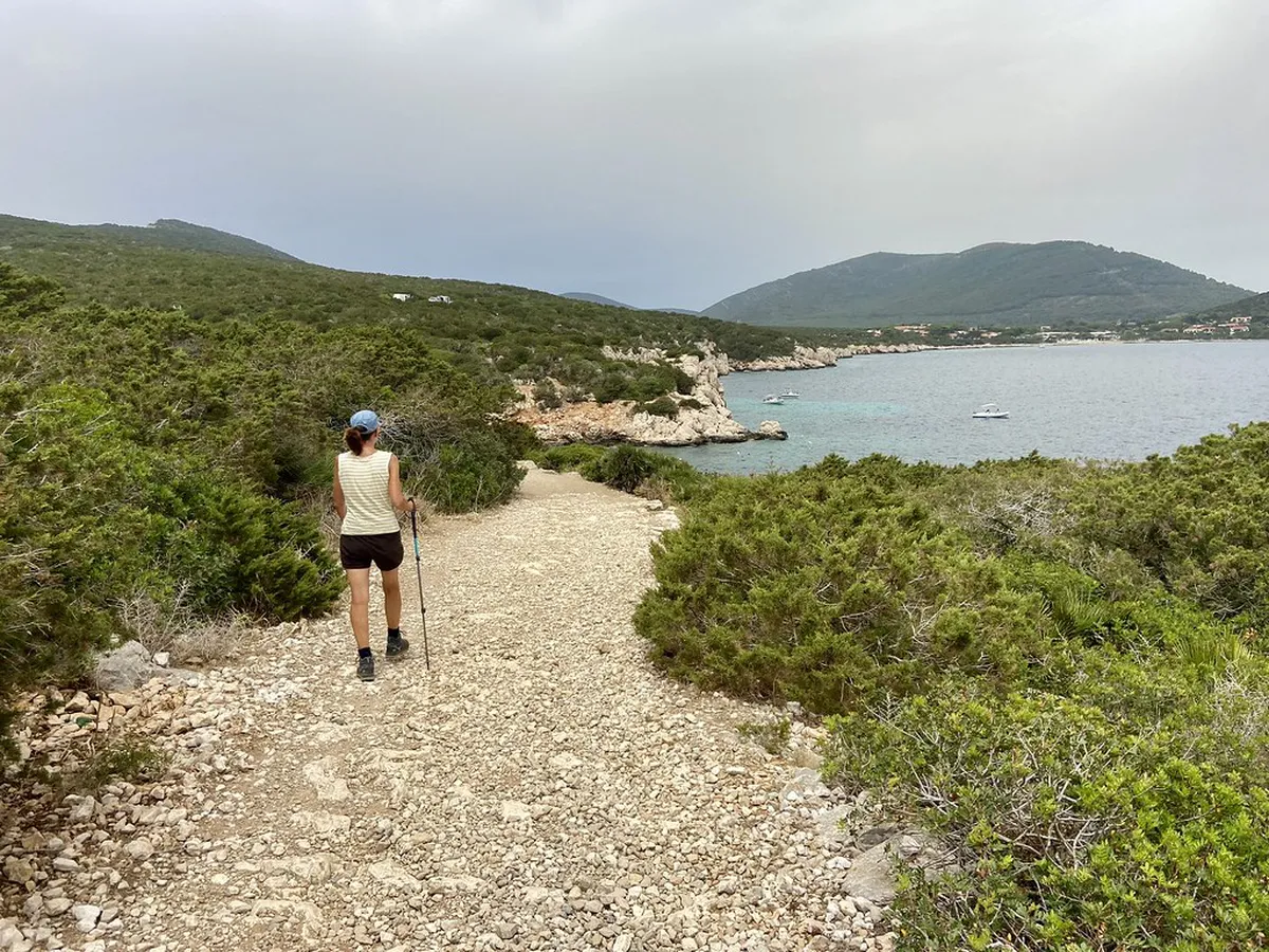 Top Hiking Routes Near Porto in 2026 — a scene in Porto