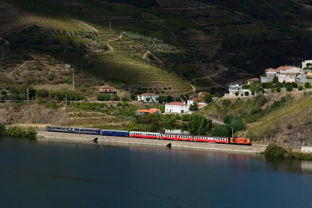 What the Douro Valley Day Trip Covers in Porto